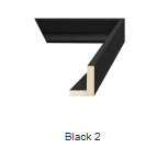 Blue Proteas - canvas